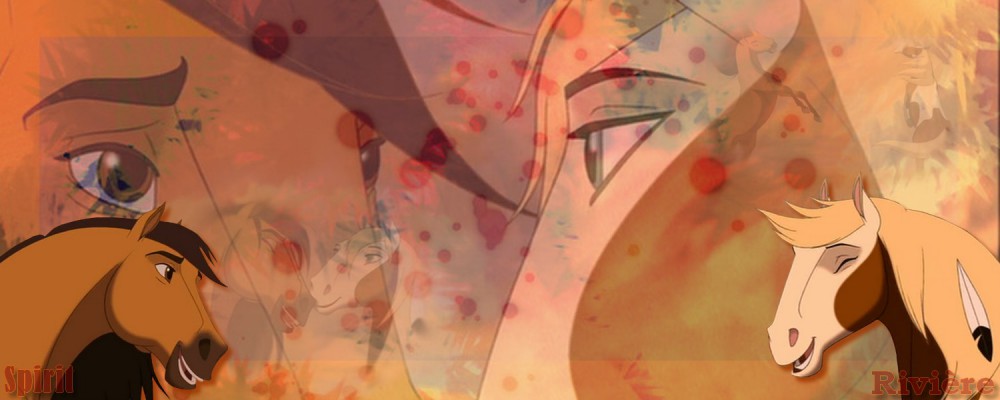 Pour le projet 