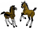 Pandora and Destiny as foals