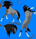 Nakota
