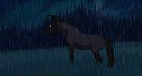 Silhouette In The Night