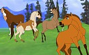 2nd Generation Stallions