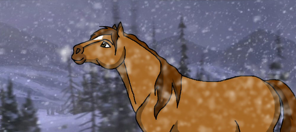 Watching the Snow Fall