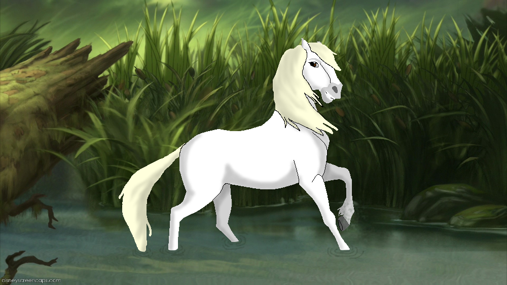Camargue