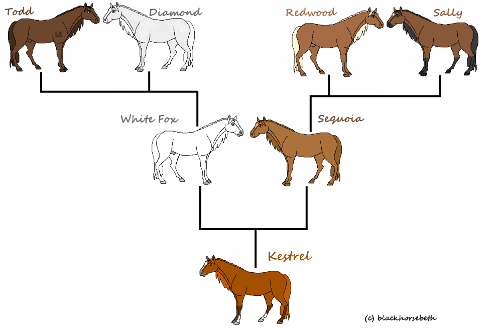 Kestrel's Family Tree