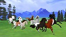 The Justice Herd