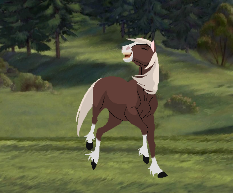 Nutmeg
