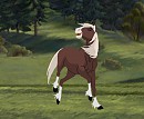 Nutmeg
