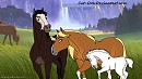 Lokotta's 2nd foal