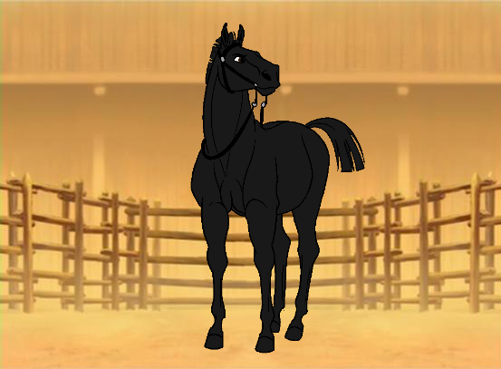 A Tame Horse
