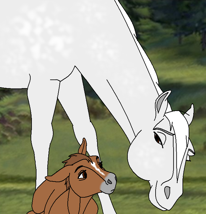 Diamond and White Fox