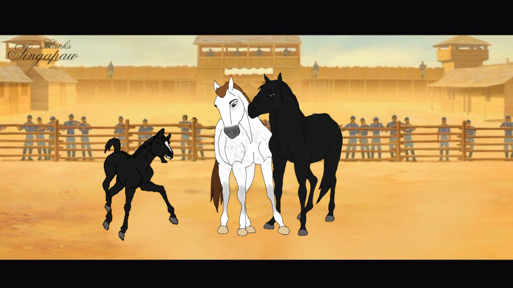 Lipizzaners