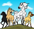 Sunset Herd