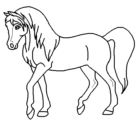 Breyer Arabian Render Lineart