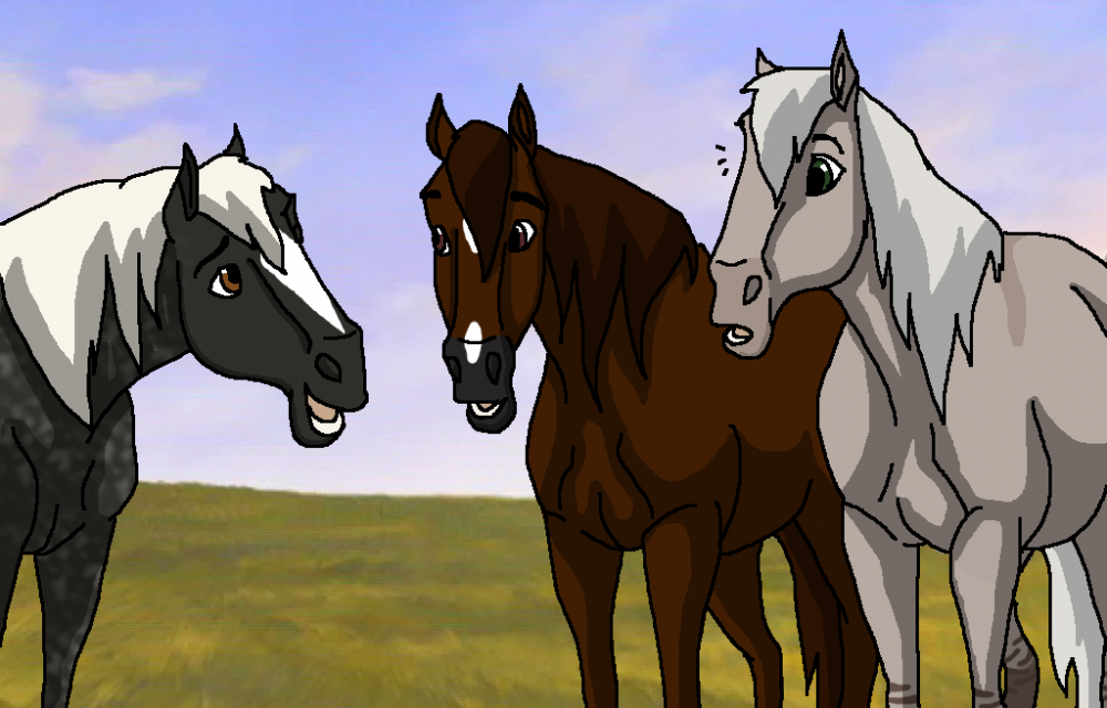 The Outlook Herd