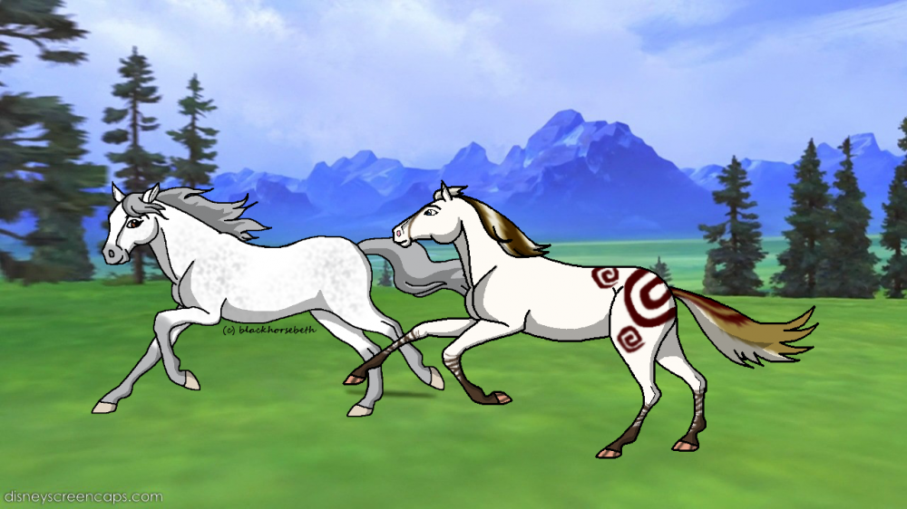 Racehorses