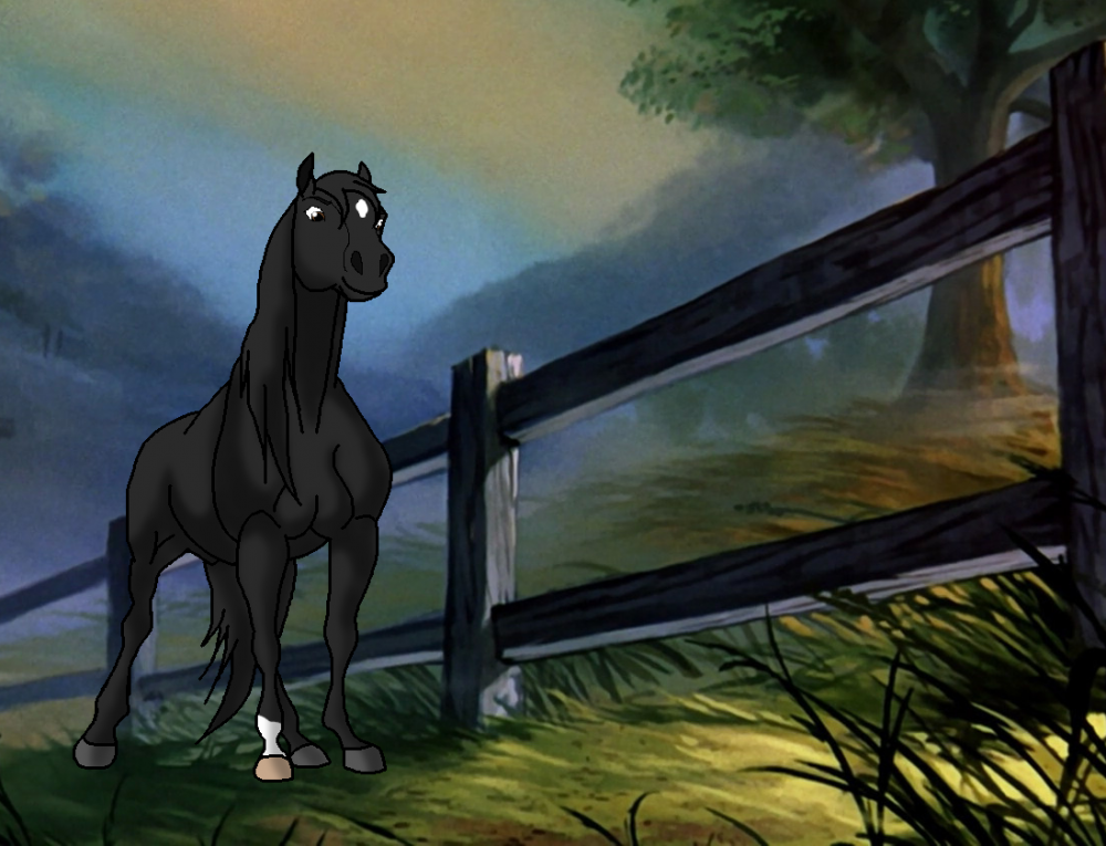 Black Beauty