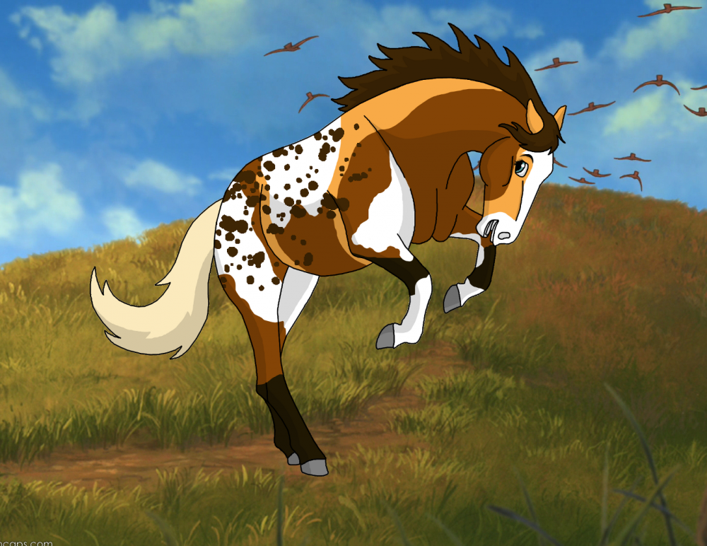 Gift ~ Tyto-Alba