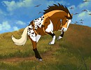 Gift ~ Tyto-Alba