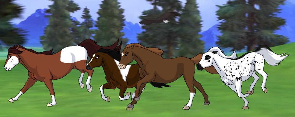 The Spring Valley Mares