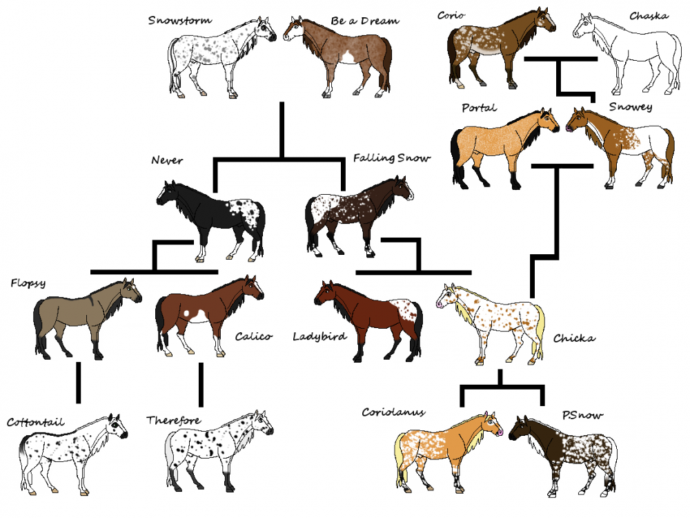 Family Tree ~ P.Snow and Therefore