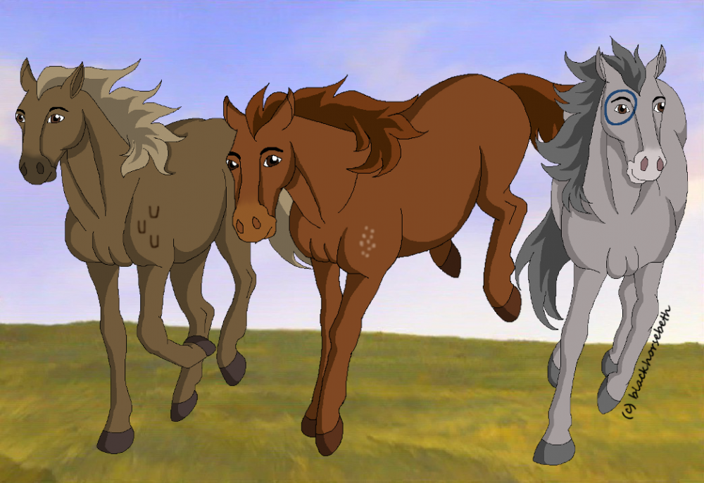 Spirit's Brothers