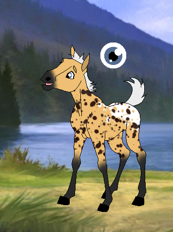 Therefore x Alice's foal: Alex