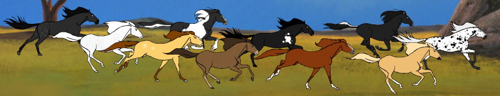 The Sunset Herd