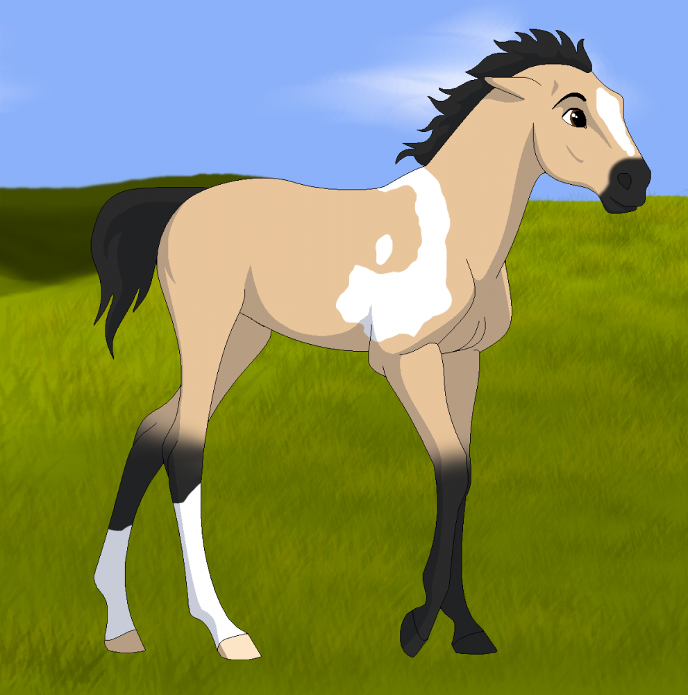 Hotspur x Jazzy foal