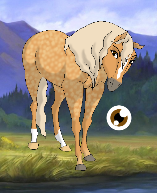Dappled Palomino