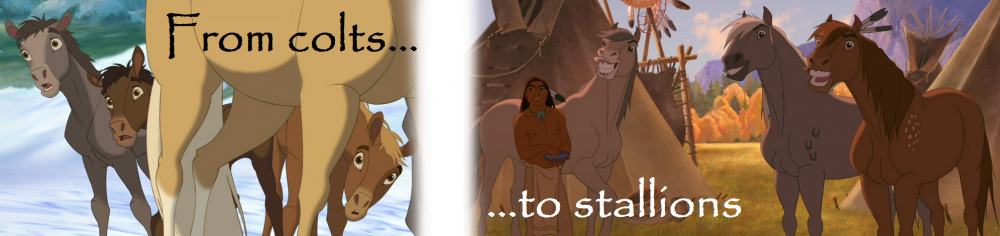 From Colts to Stallions