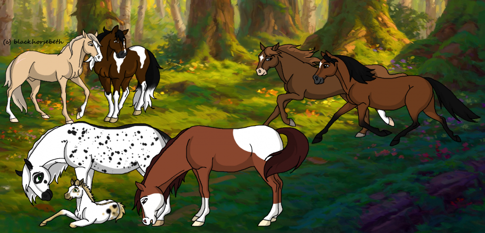 Spring Valley Herd