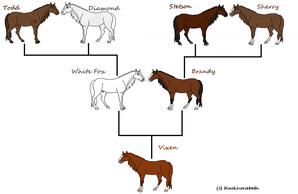 Vixen's family Tree