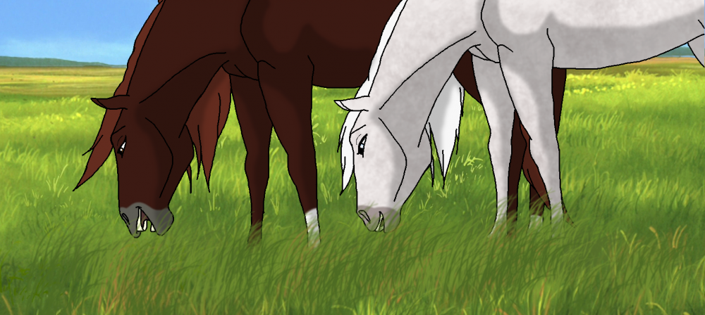 Northern Wells Mares