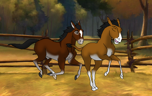 BAB Mules