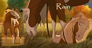 Rain Signature