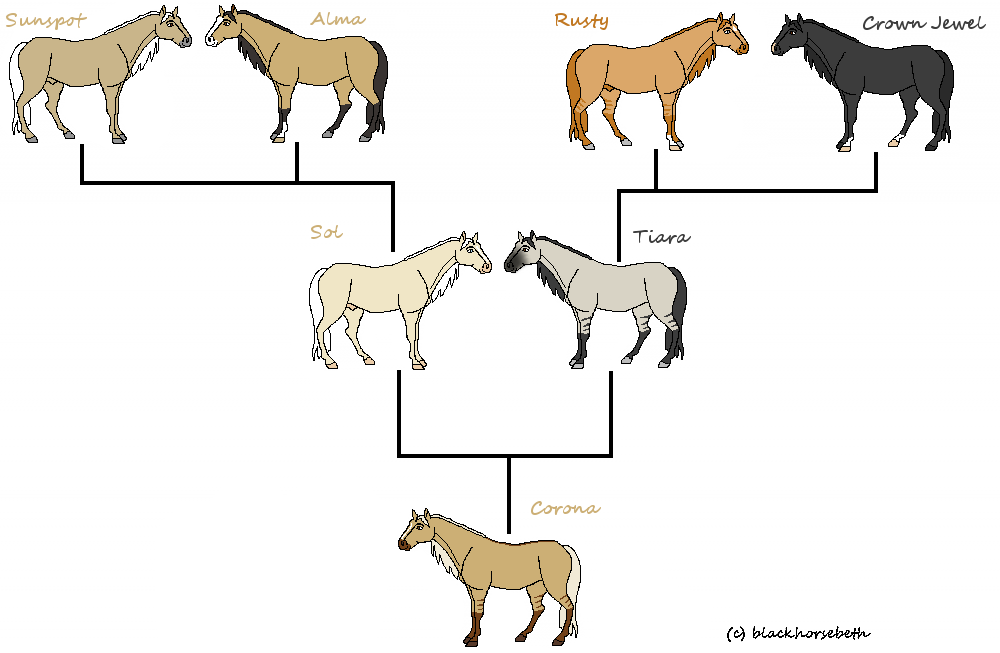 Corona's Family Tree