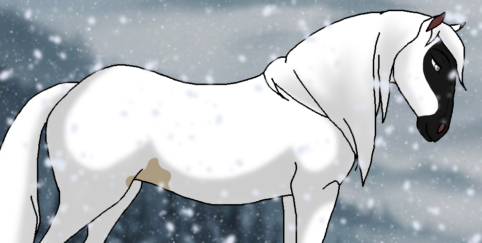 Winter Solstice