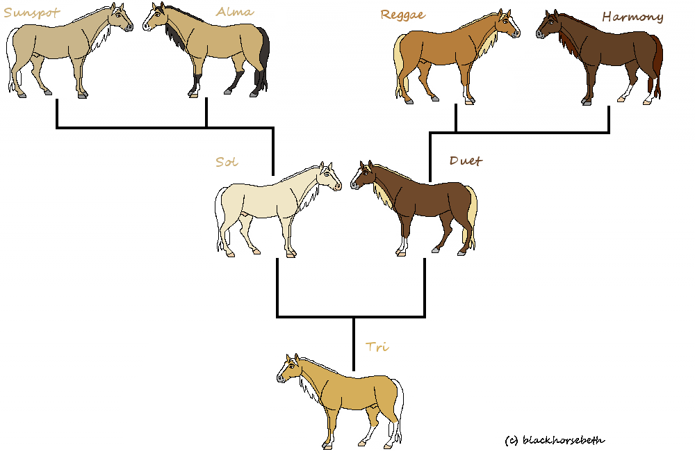 Tri's Family Tree