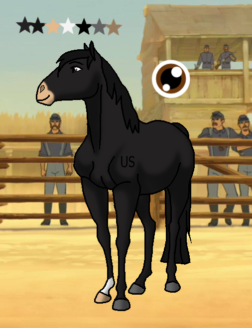 Cavalry Mare