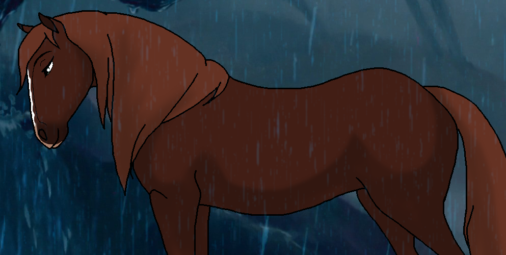 Stand in the rain