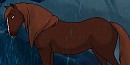 Stand in the rain