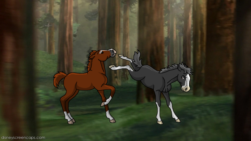 Sibling Rivalry...