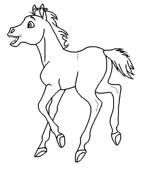Foal Blank Render
