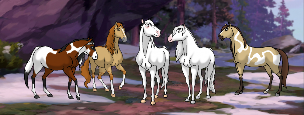 Phantom's Favourite Mares