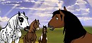 Welcome to the Herd