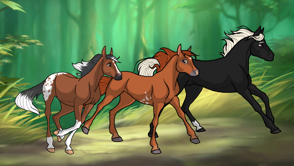The Shadows Herd