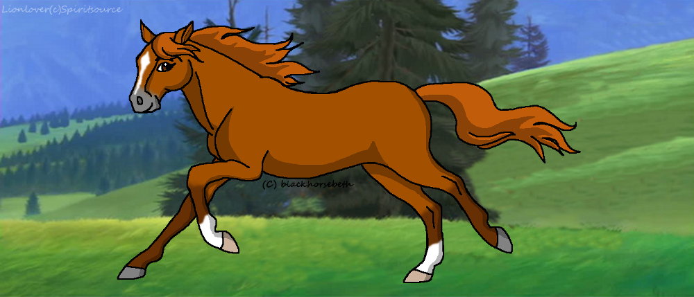 Chestnut Mare