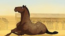 Dust Bath