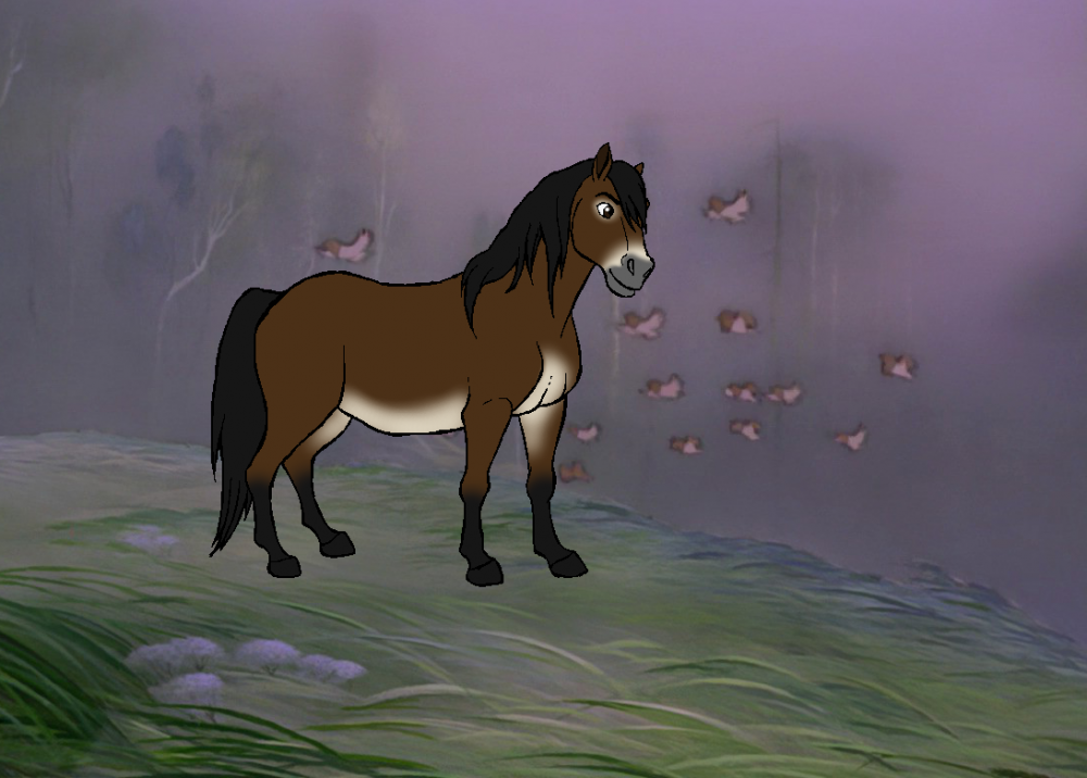 Exmoor Pony