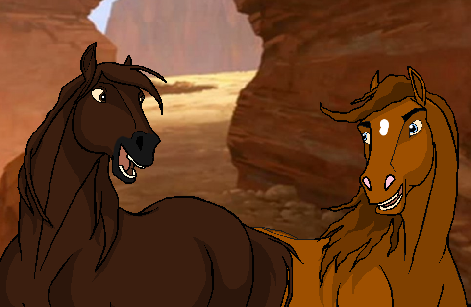 Chestnut Friesians